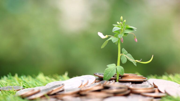 Finanziamenti per l'acquaponica