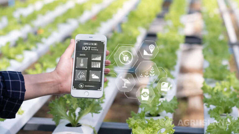 Installazione e monitoraggio nel sistema acquaponico